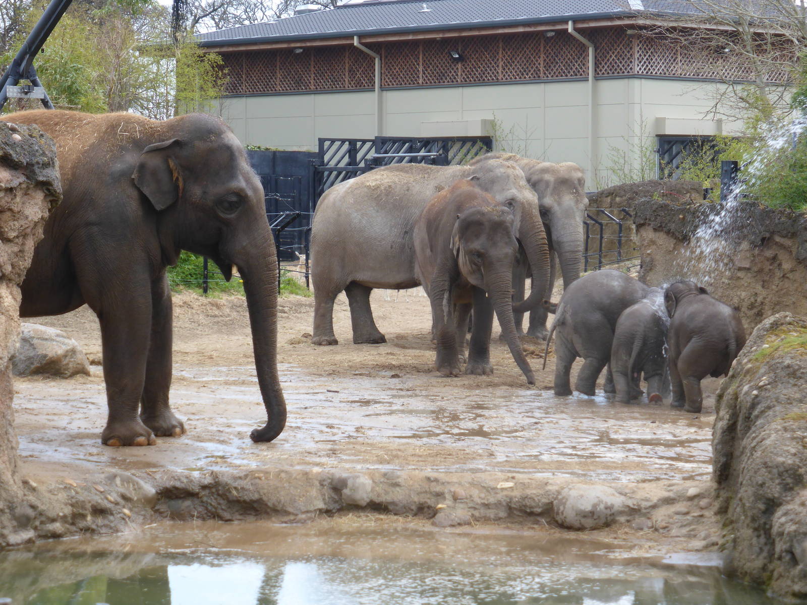 Upali ( on left ) with his family .