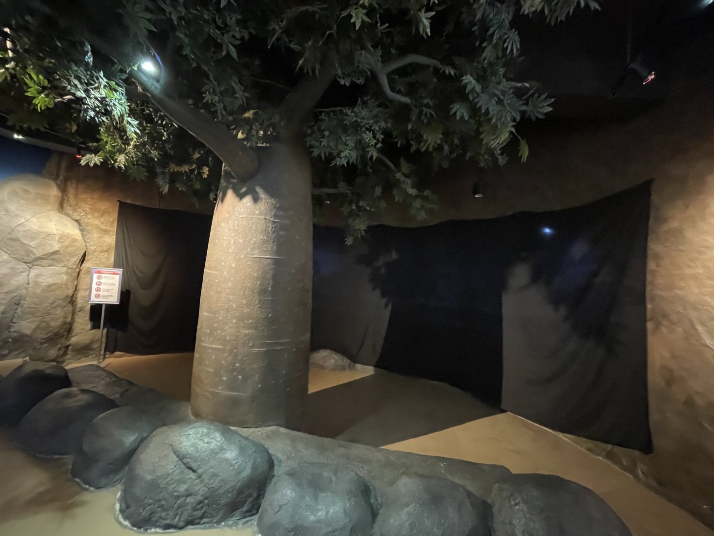 upcoming african penguin (spheniscus demersus) exhibit - BX Sea