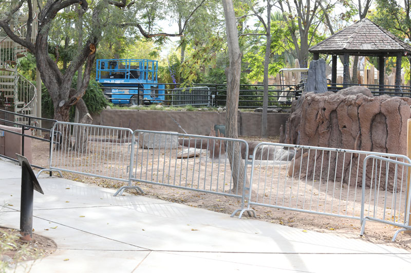 upcoming alligator exhibit