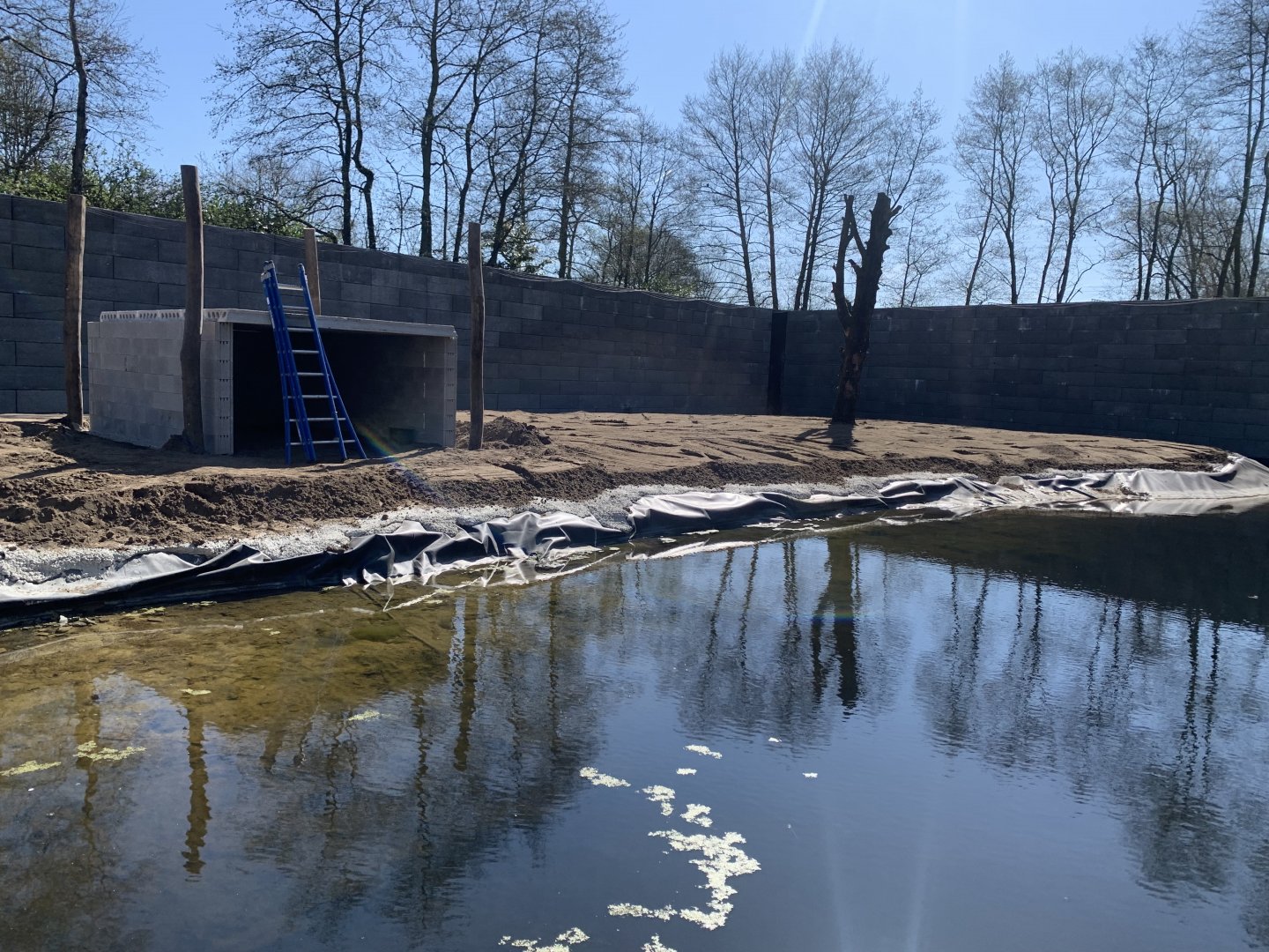 Upcoming Chimpanzee enclosure