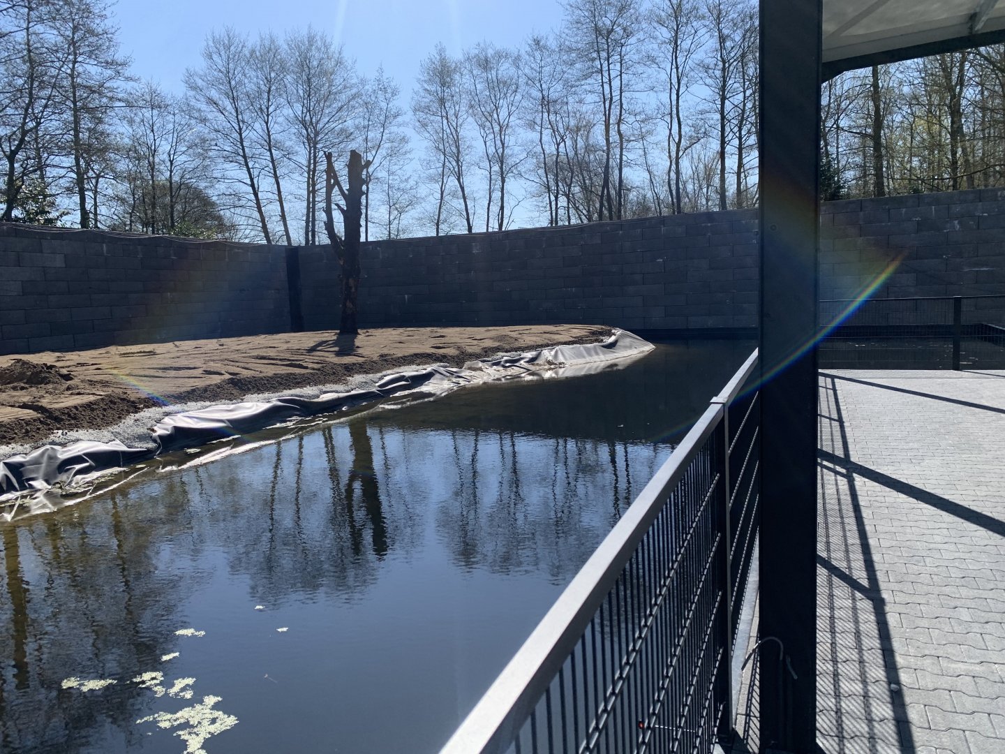 Upcoming Chimpanzee enclosure