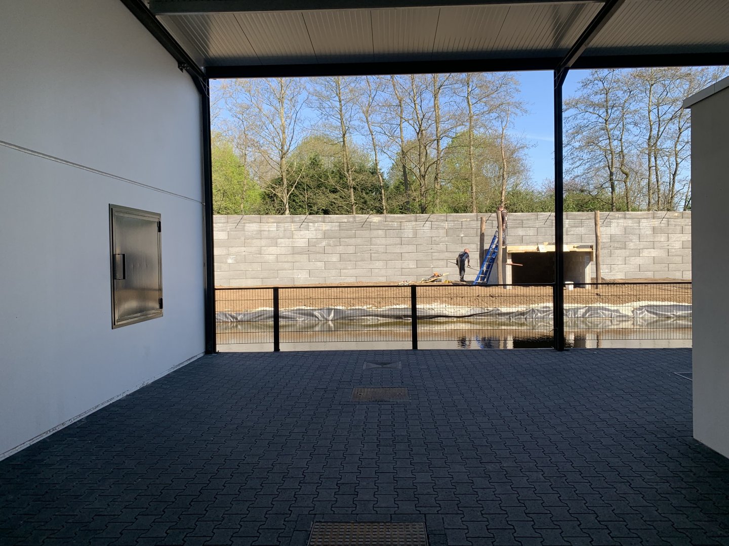 Upcoming Chimpanzee enclosure