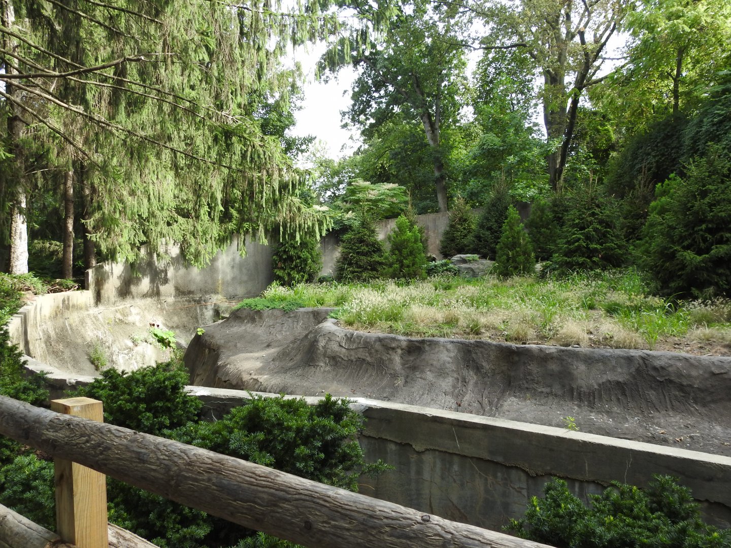 Upcoming Dhole Exhibit pt 1