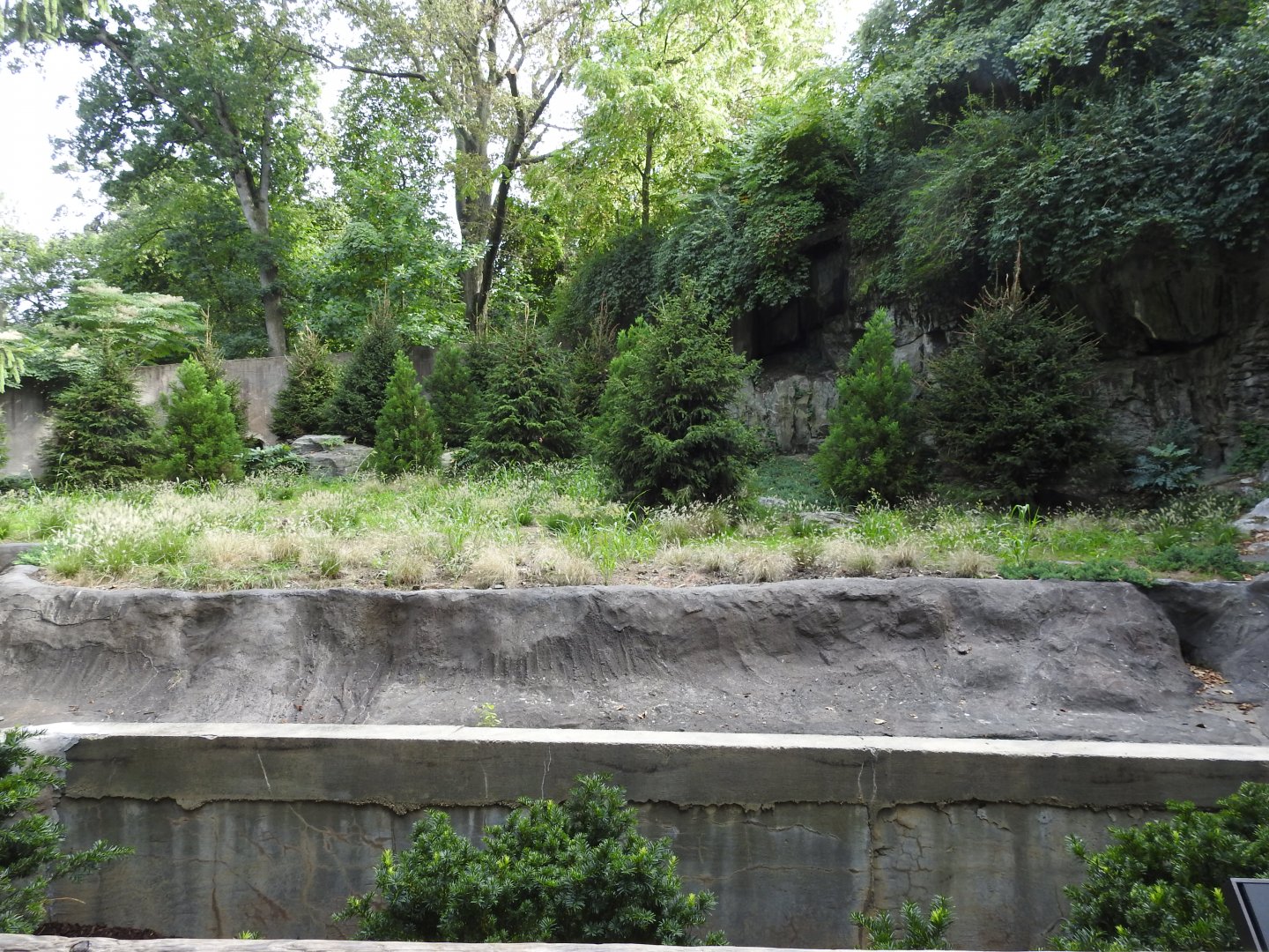 Upcoming Dhole Exhibit pt 2