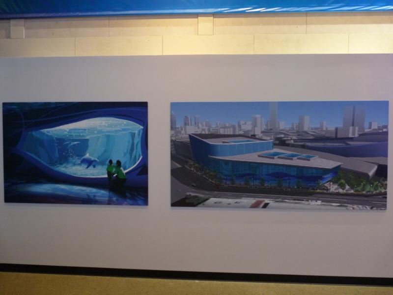 Upcoming Dolphin Exhibit