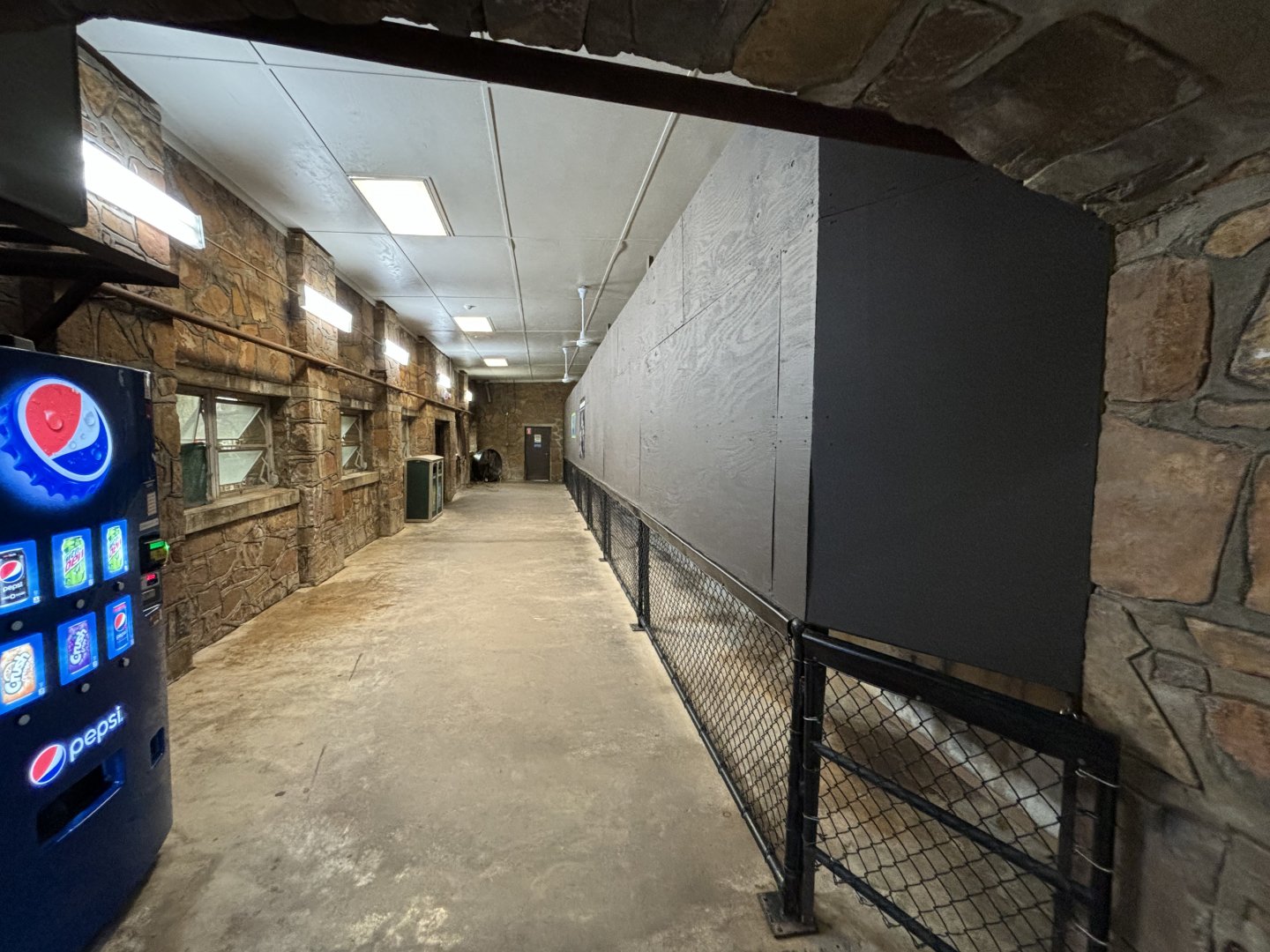 Upcoming Komodo Dragon Exhibit