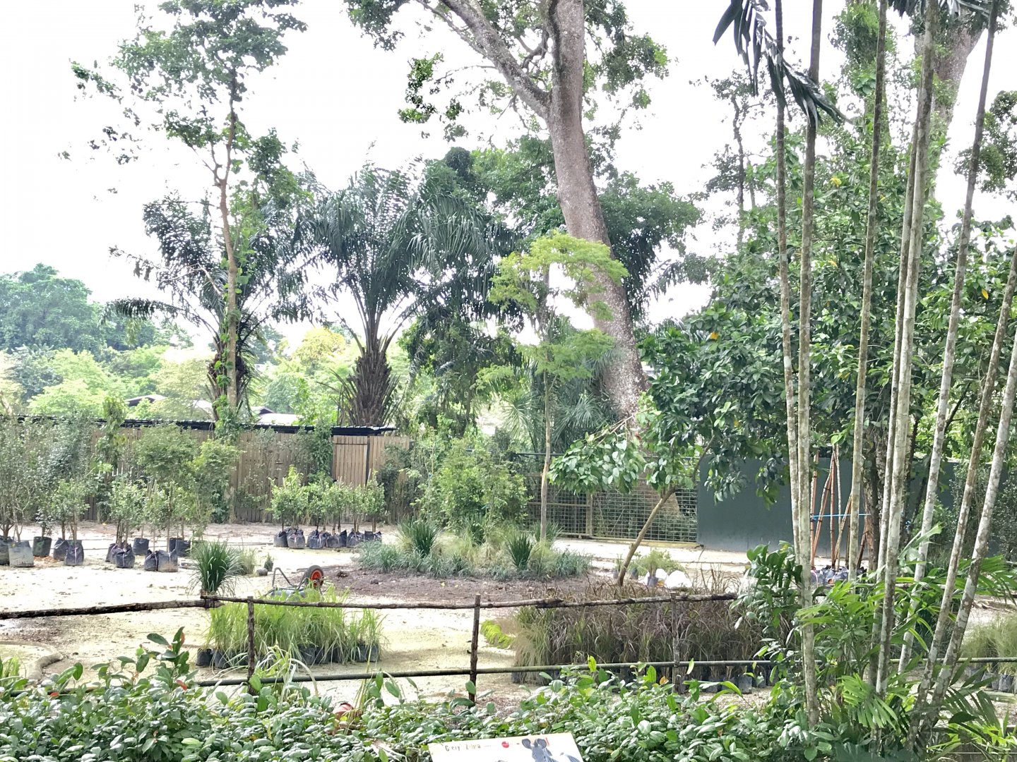 Upcoming Landscape for Grevy’s Zebra & Nyala Habitat