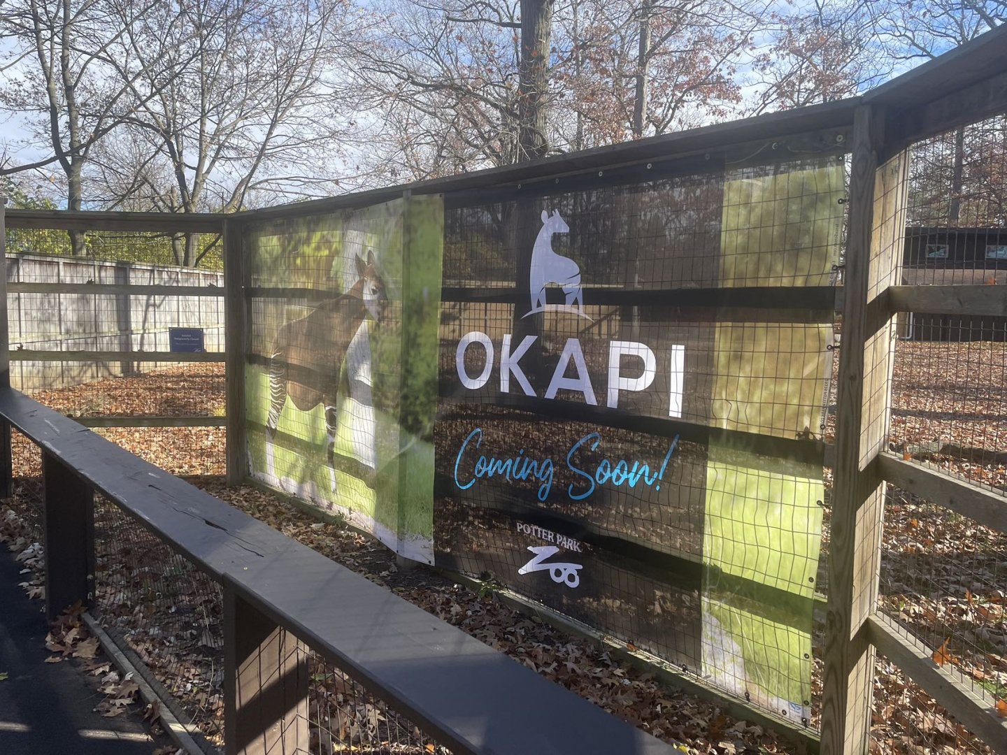 Upcoming Okapi Exhibit