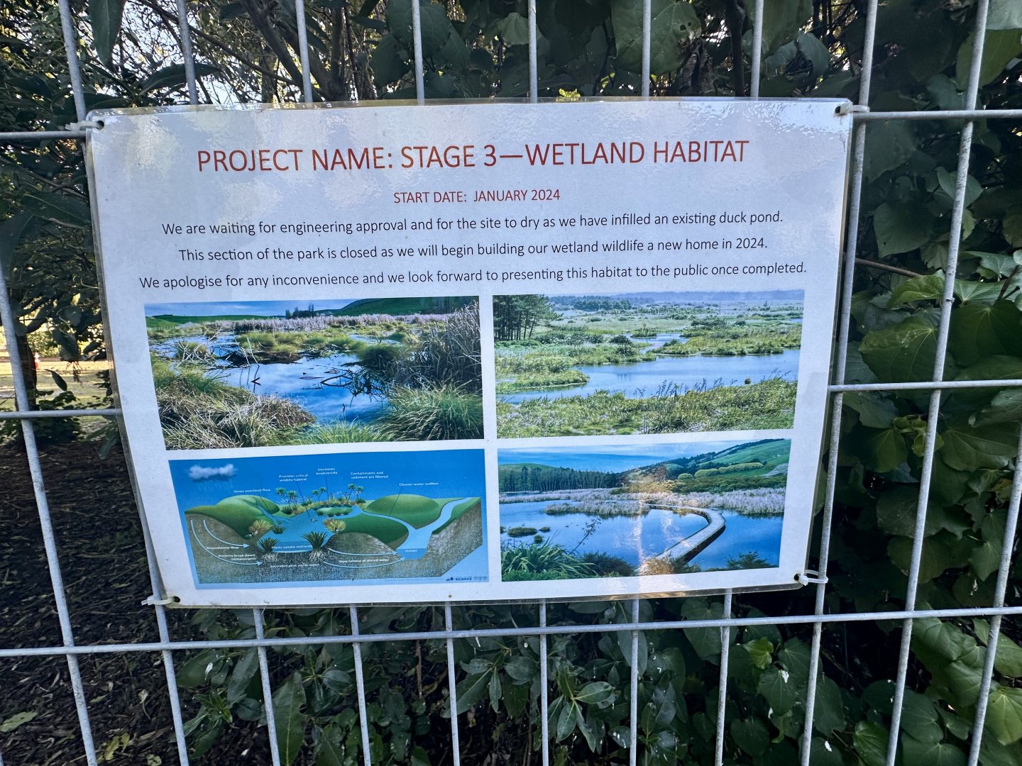 Upcoming Project - Wetland Exhibit