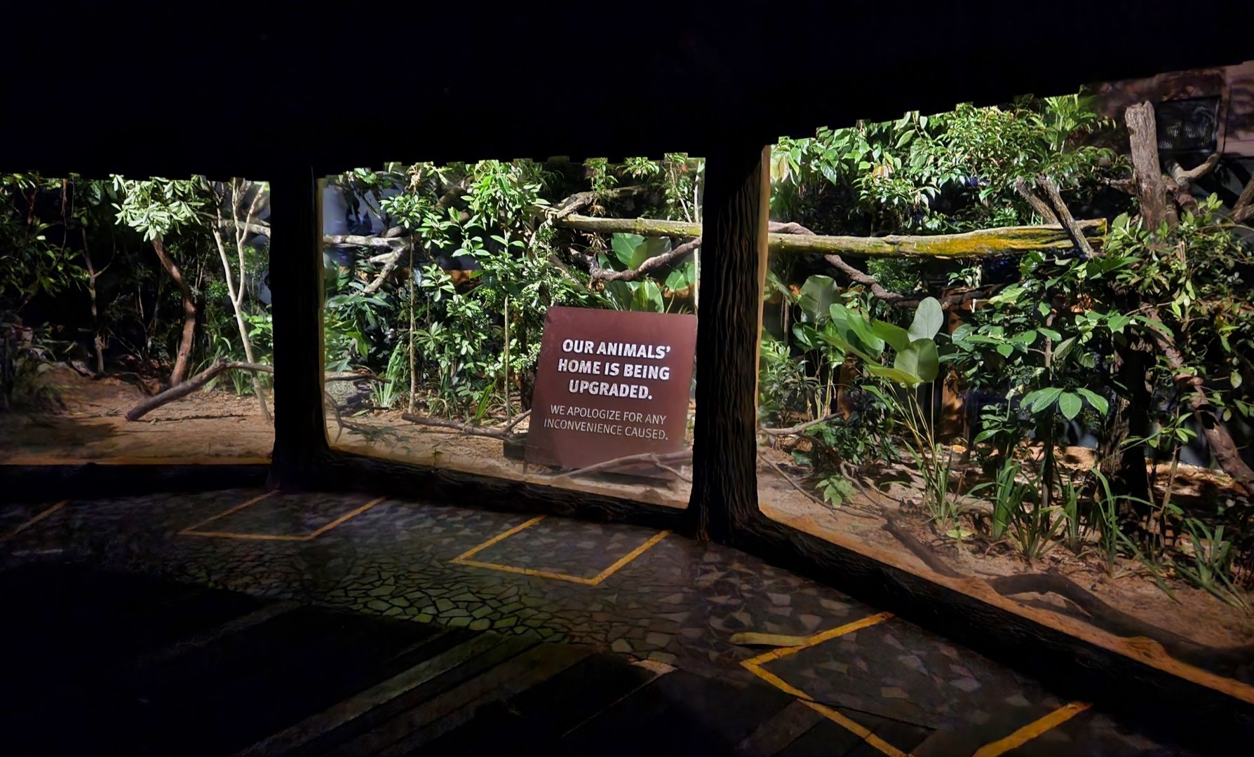 Upcoming South American Mixed Exhibit