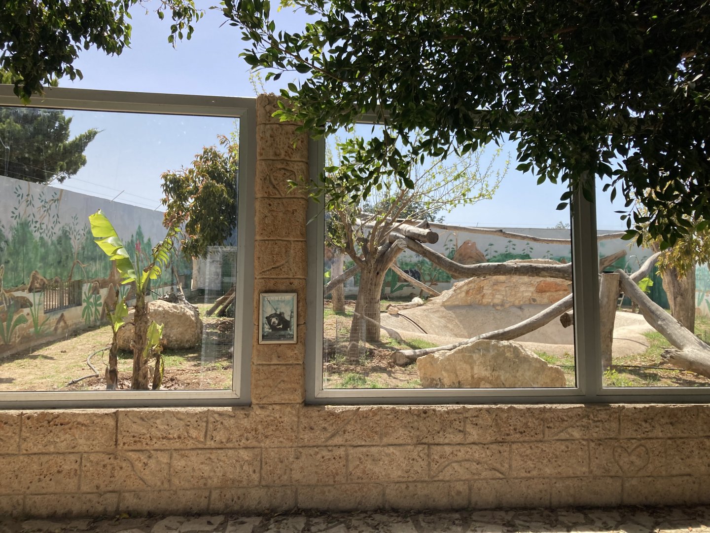 Upcoming sun bear exhibit