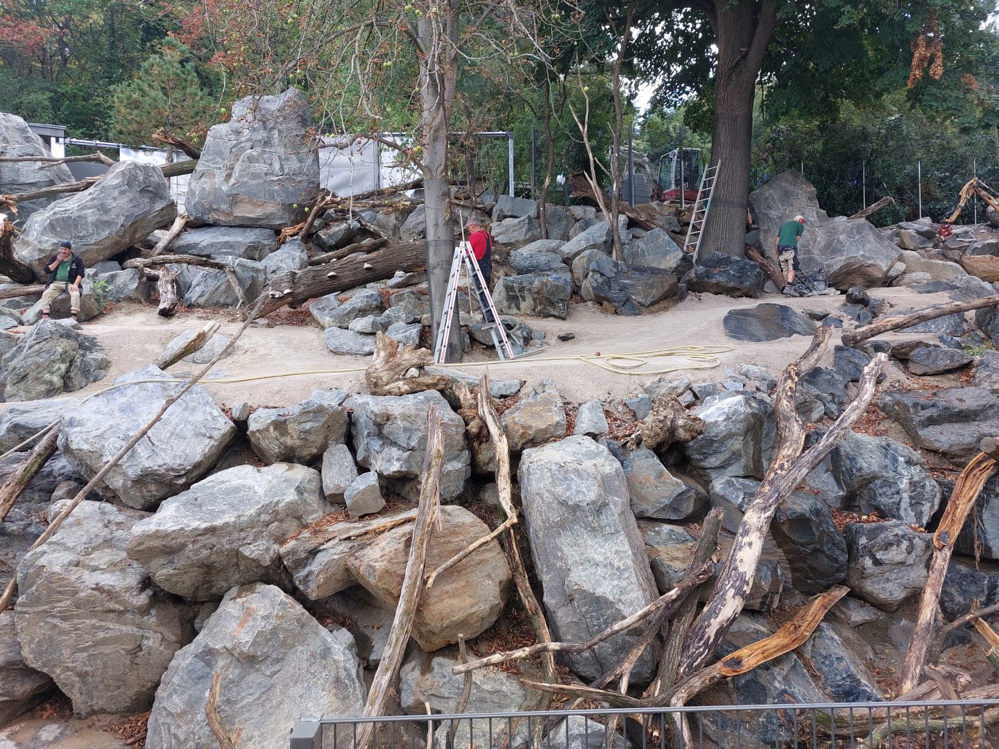 Upcoming thar & takin exhibit