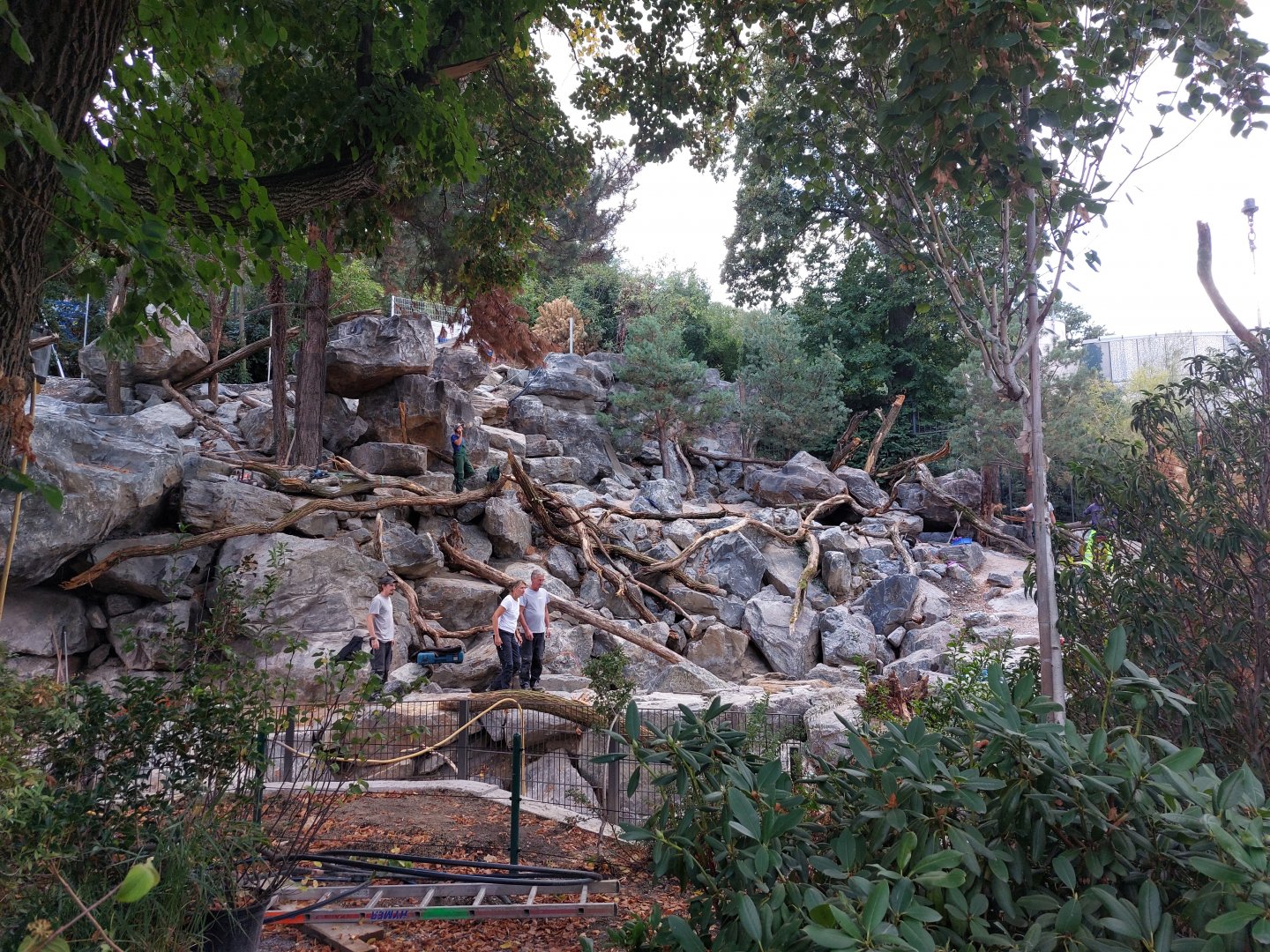 Upcoming thar & takin exhibit