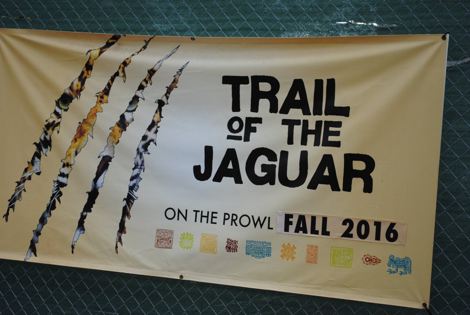 Upcoming Trail of the Jaguar Exhibit