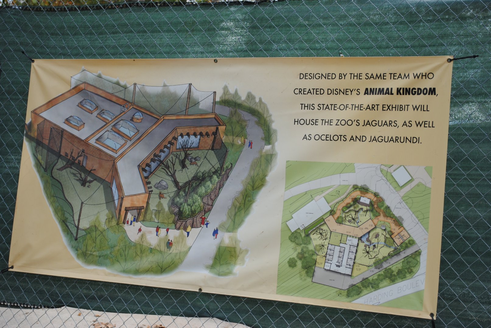 Upcoming Trail of the Jaguar Exhibit
