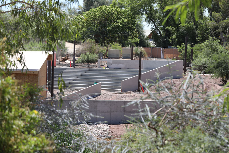 upcoming wildlife amphitheater