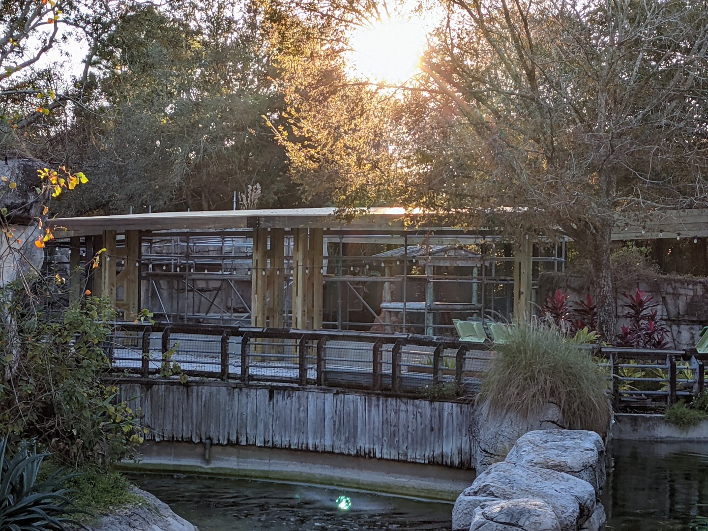 Update from November 27 2021 on old chimp habitat