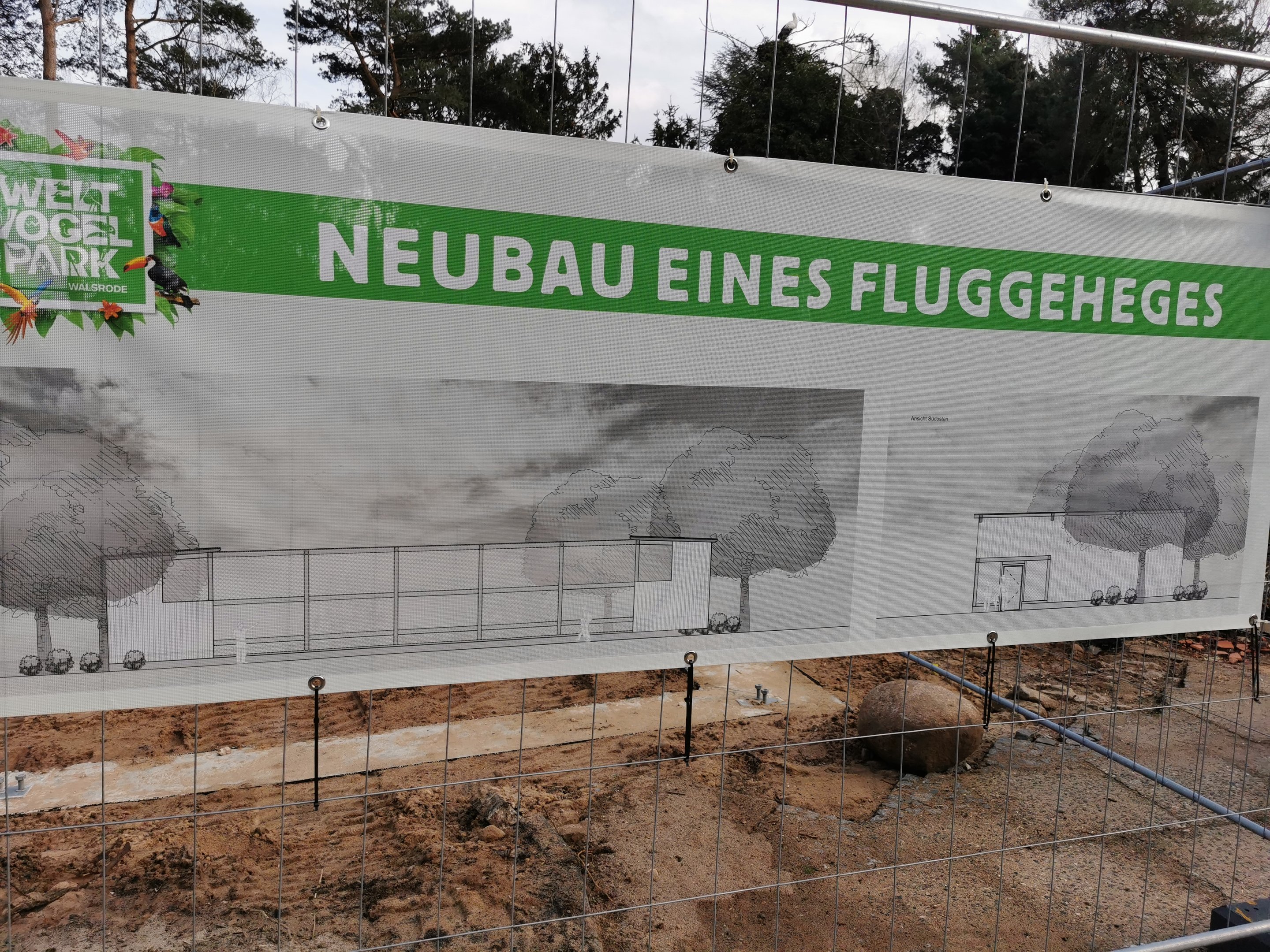 Update on new aviary (1)