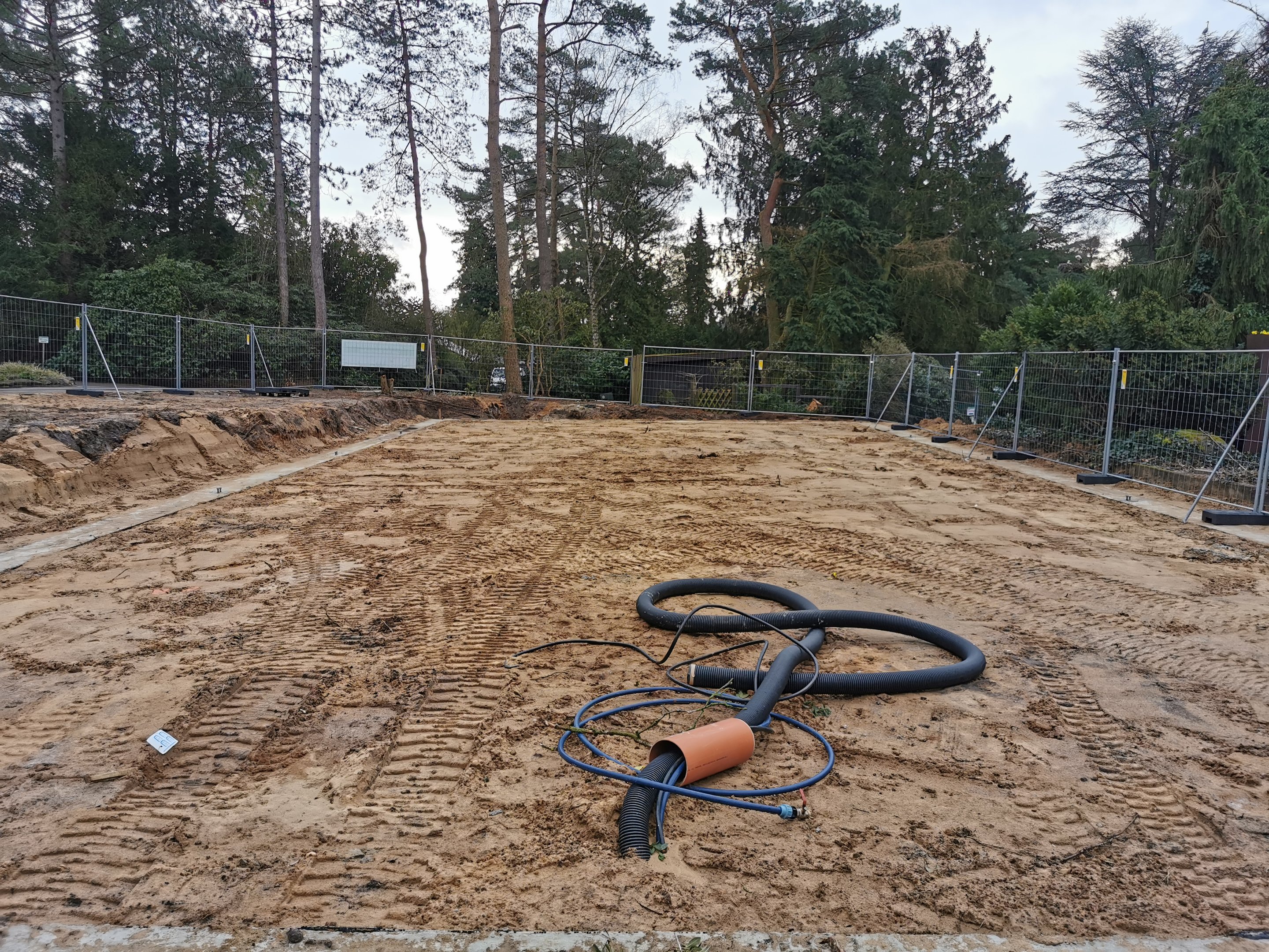 Update on new aviary (2)