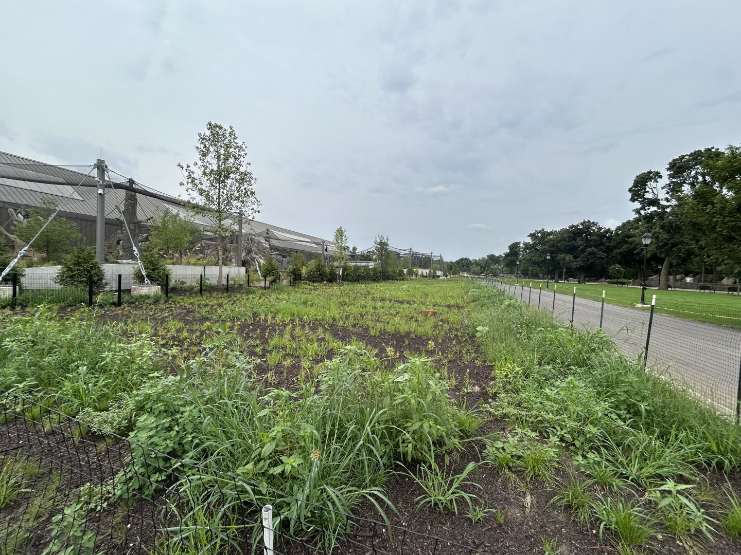 Update on the Pollinator & Rain Gardens growing behind Tropical Forests.