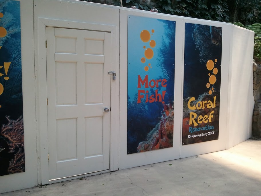 Update to the coral reef Spring 2012