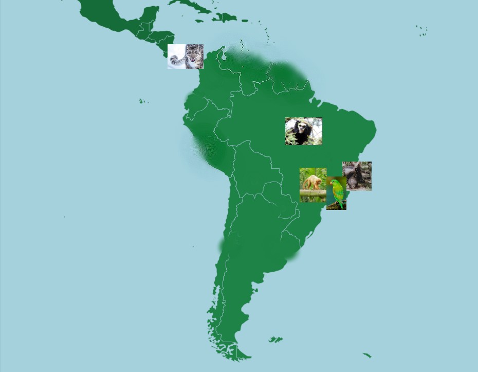 (UPDATED) A Map Of Where Our Fellow ZooChatters Live: South America