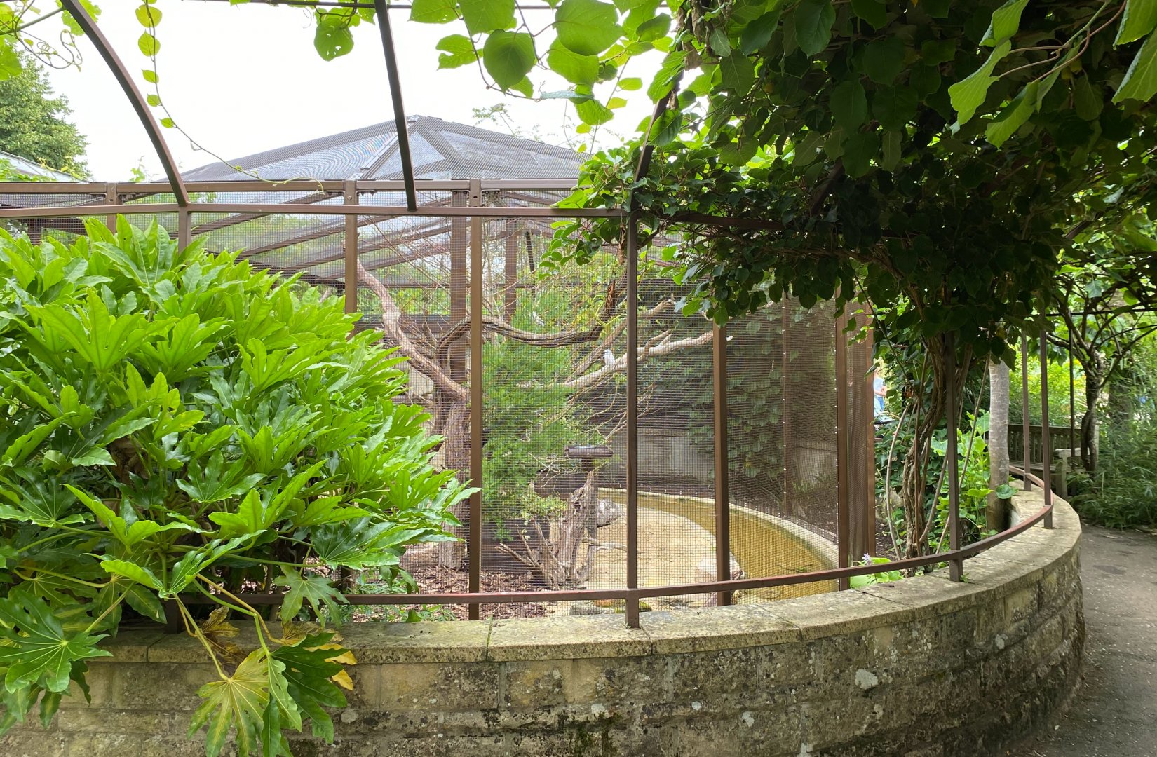 Updated aviary, CWP, UK