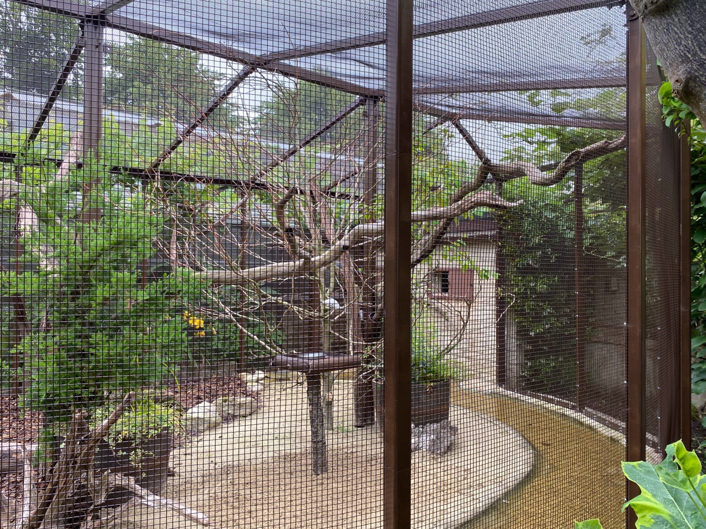 Updated aviary, CWP, UK