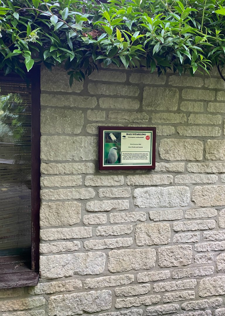 Updated aviary, signage, CWP, UK