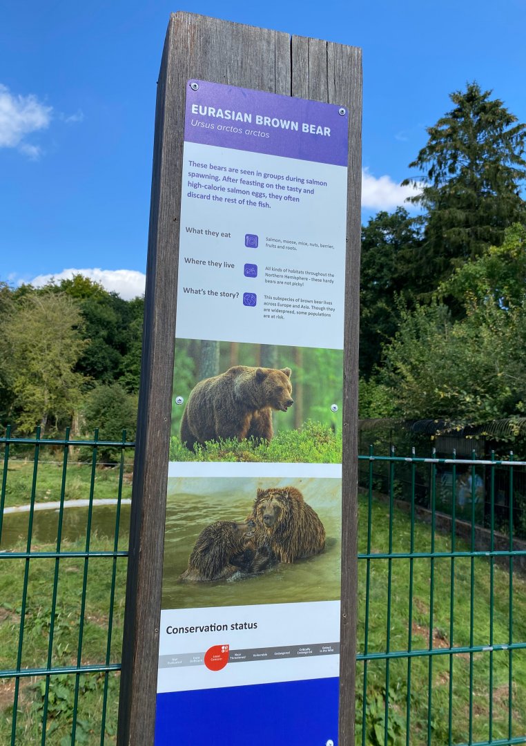 Updated brown bear signage, ZSL Whipsnade, UK