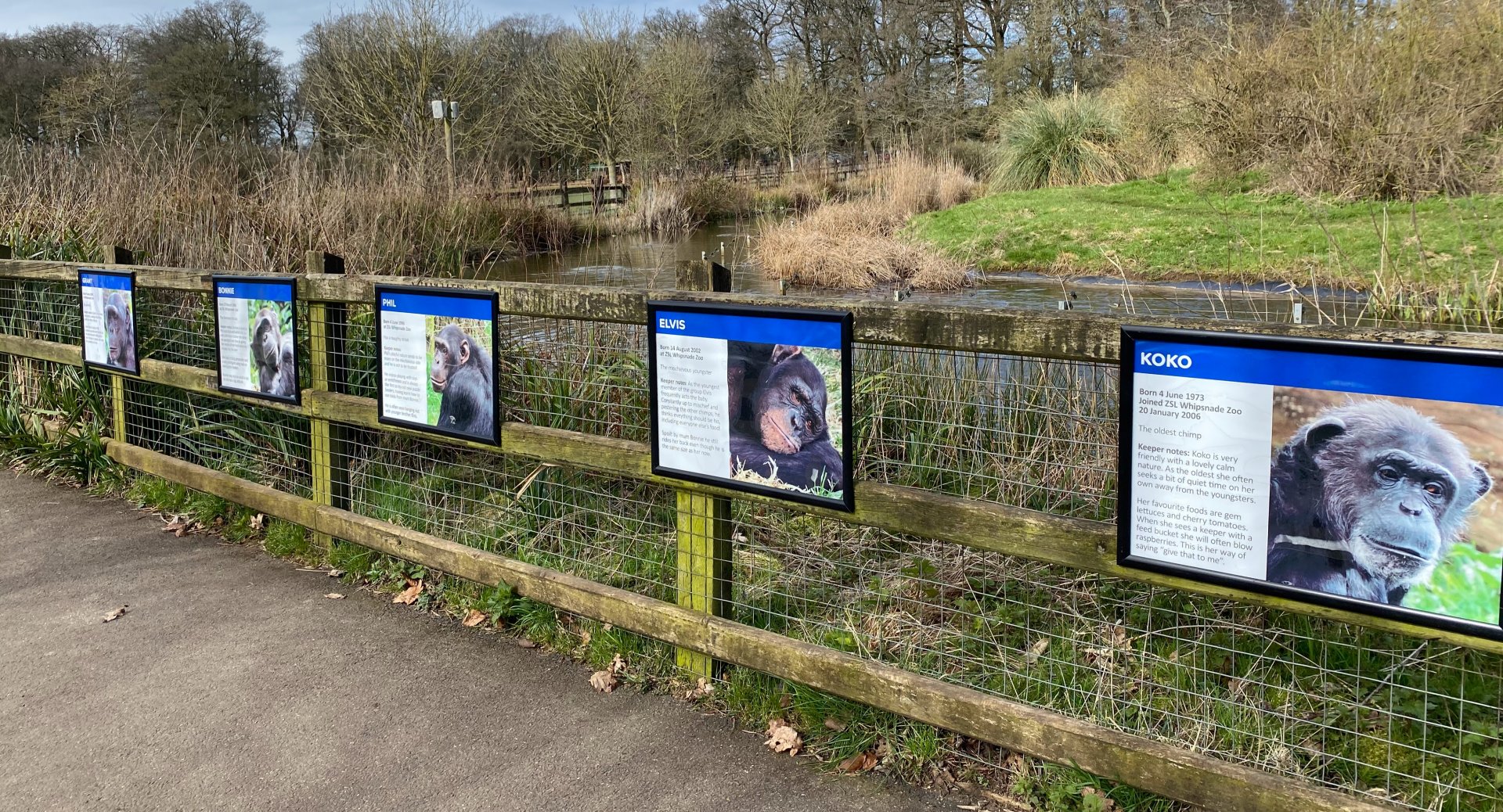 Updated Chimp signage, ZSL Whipsnade
