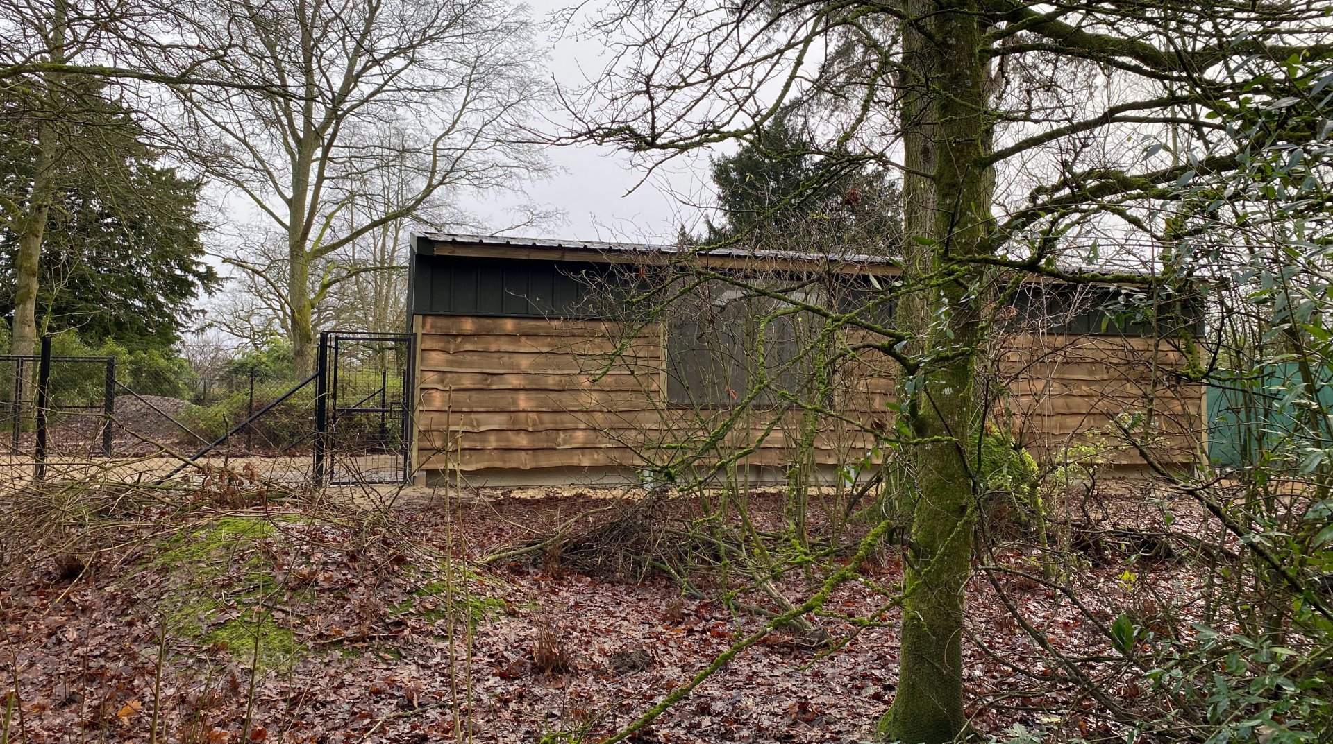 Updated Flamingo House, CWP, UK