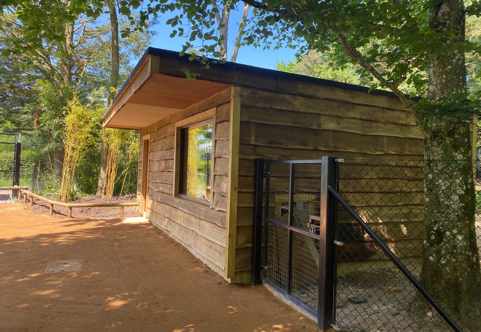 Updated housing (anteater enclosure), CWP, UK