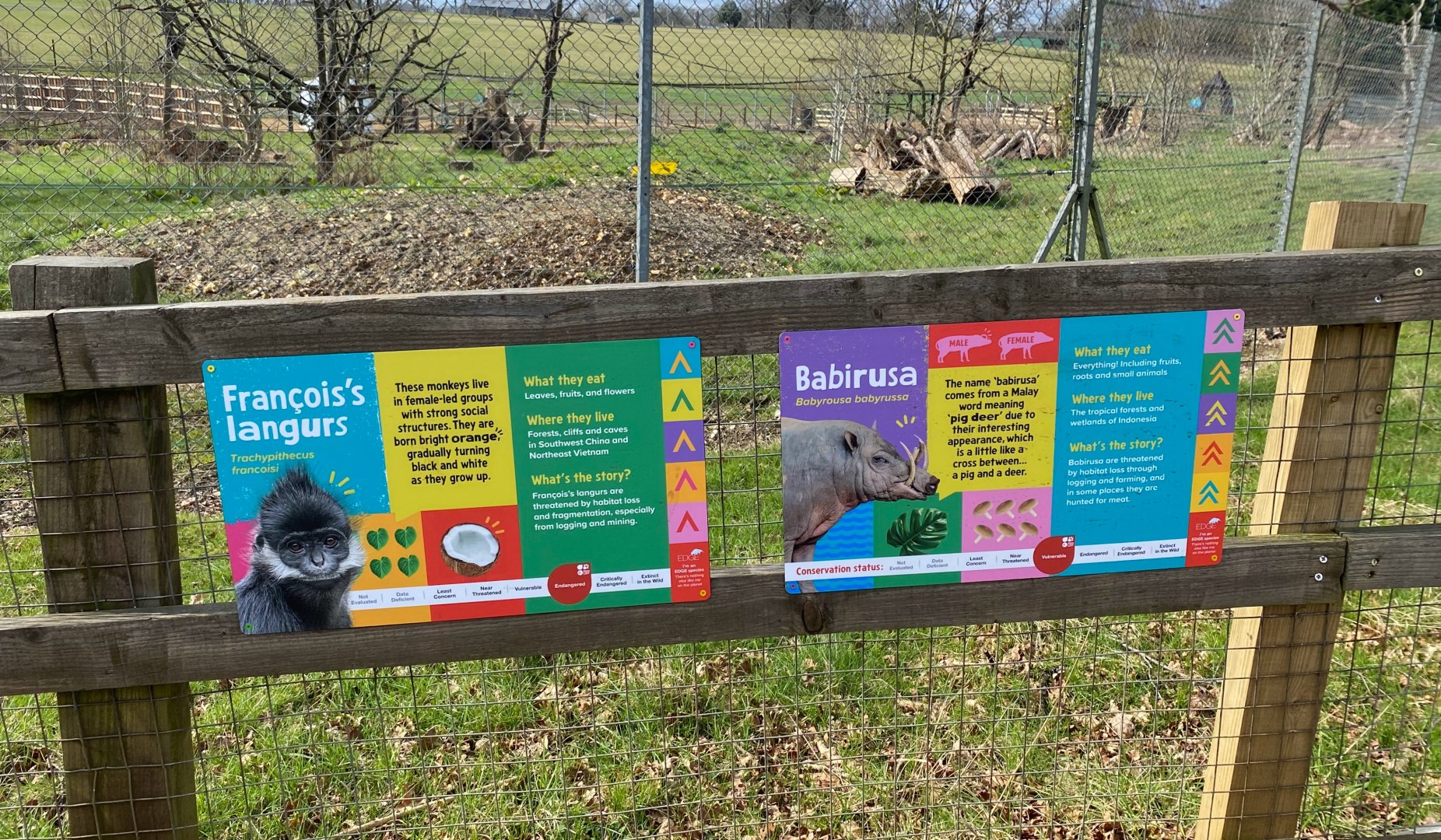 Updated Langur and Babirusa signage, ZSL Whipsnade
