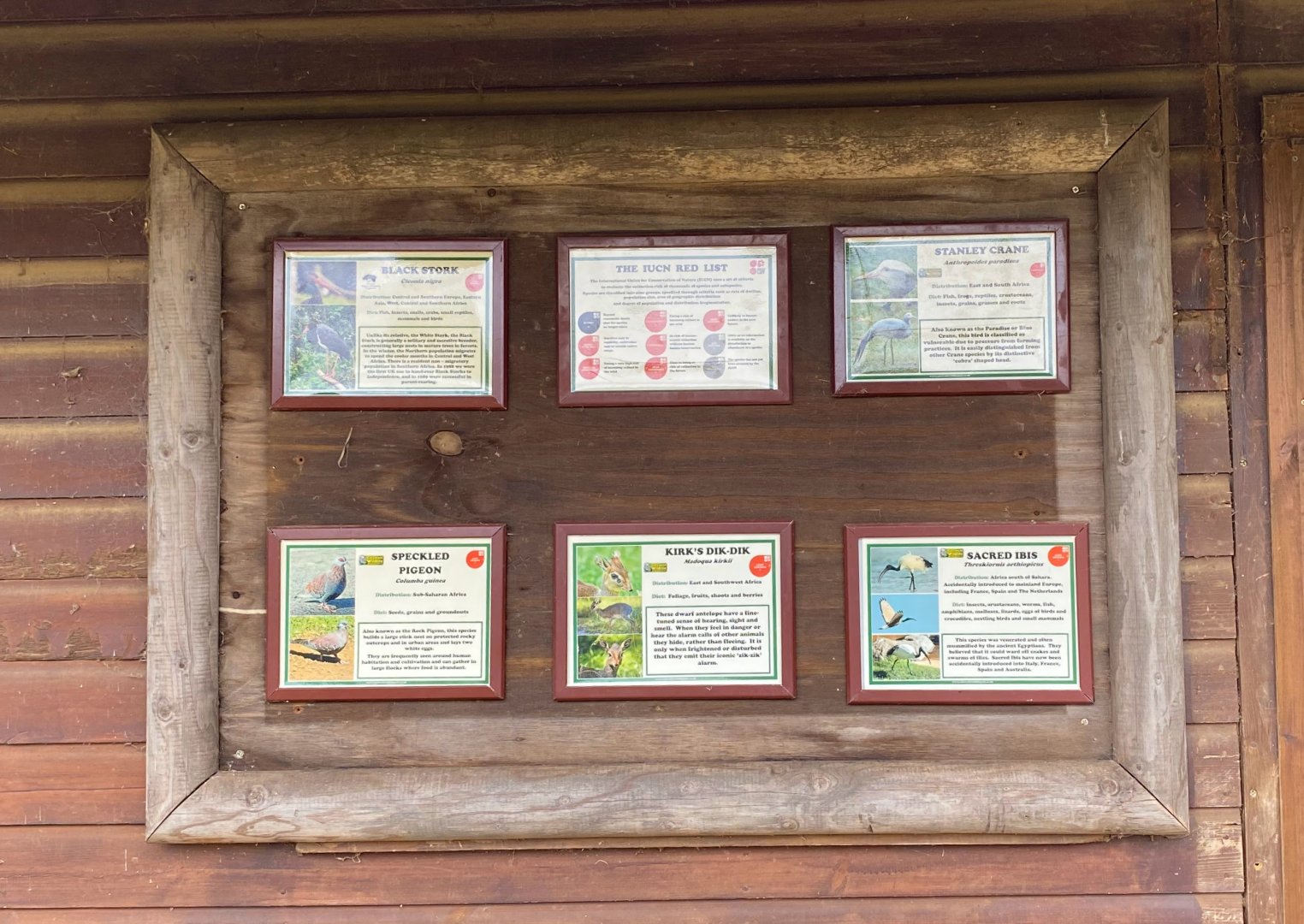 Updated little Africa Signage, CWP, UK