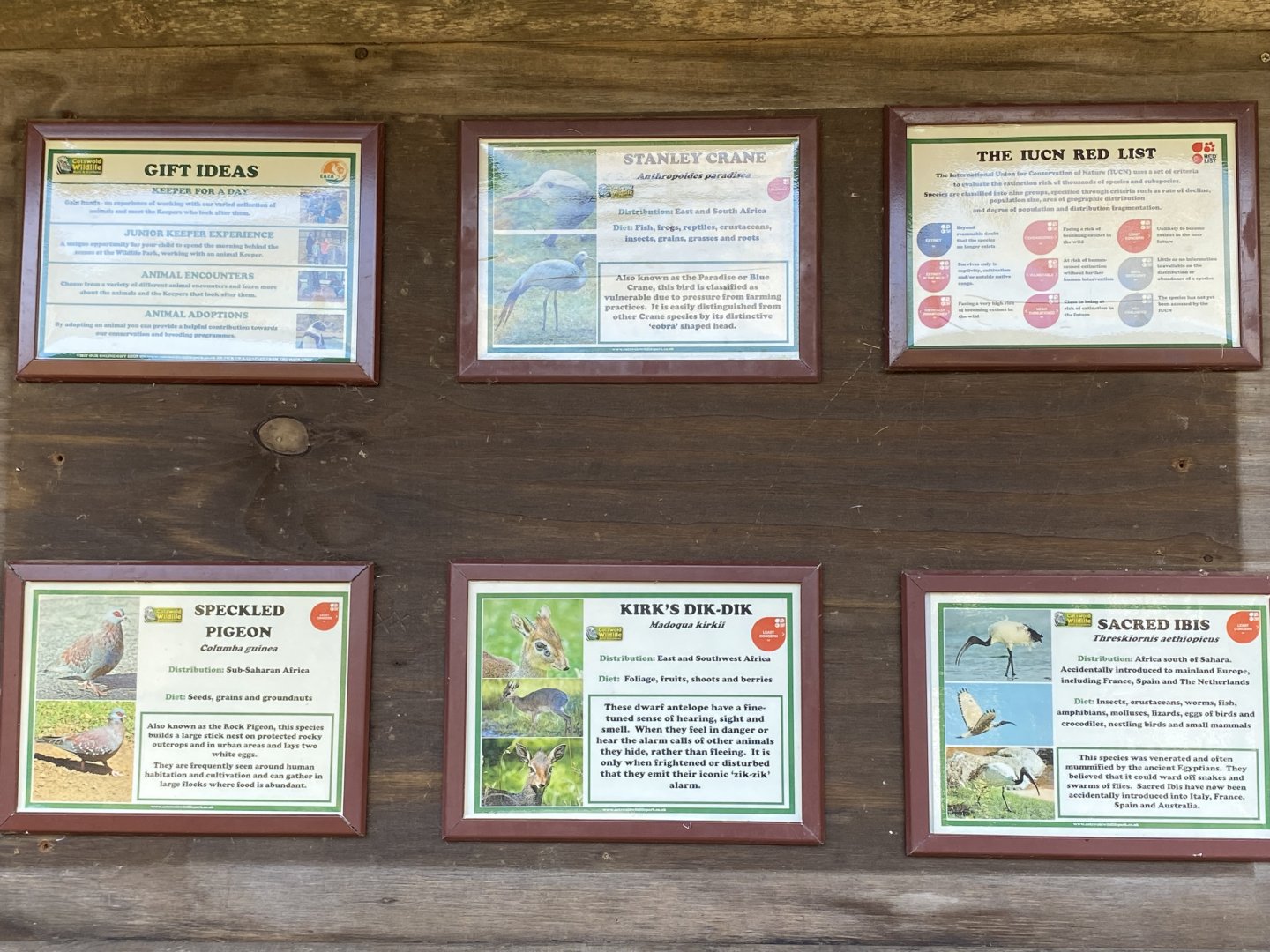 Updated Little Africa signage