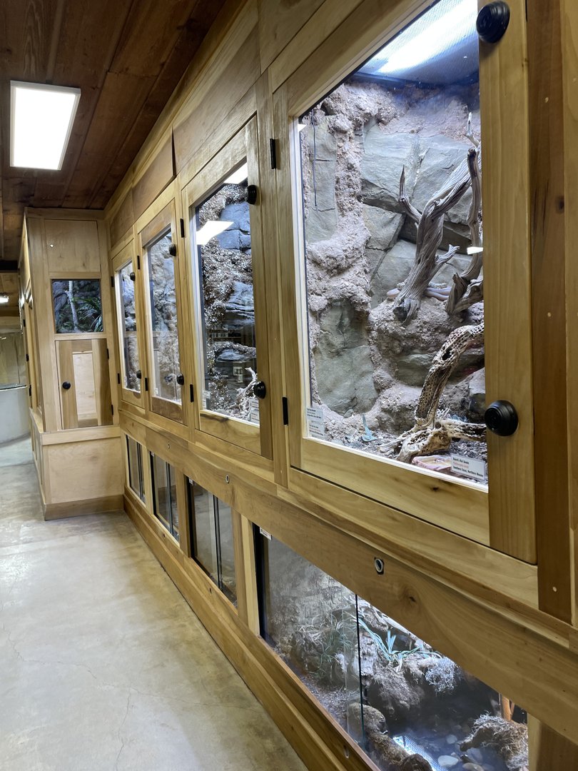 Updated Main Building