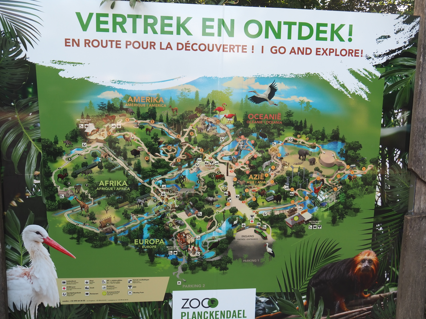 Updated map of Plankendael with the orangutan project, 2022-07-03