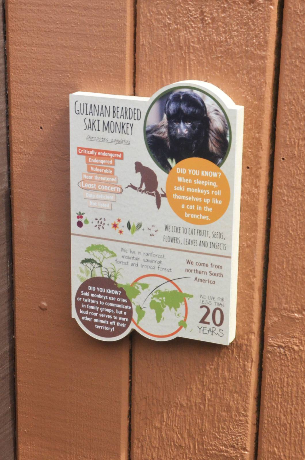 Updated Saki Signage at Colchester, 13/08/16