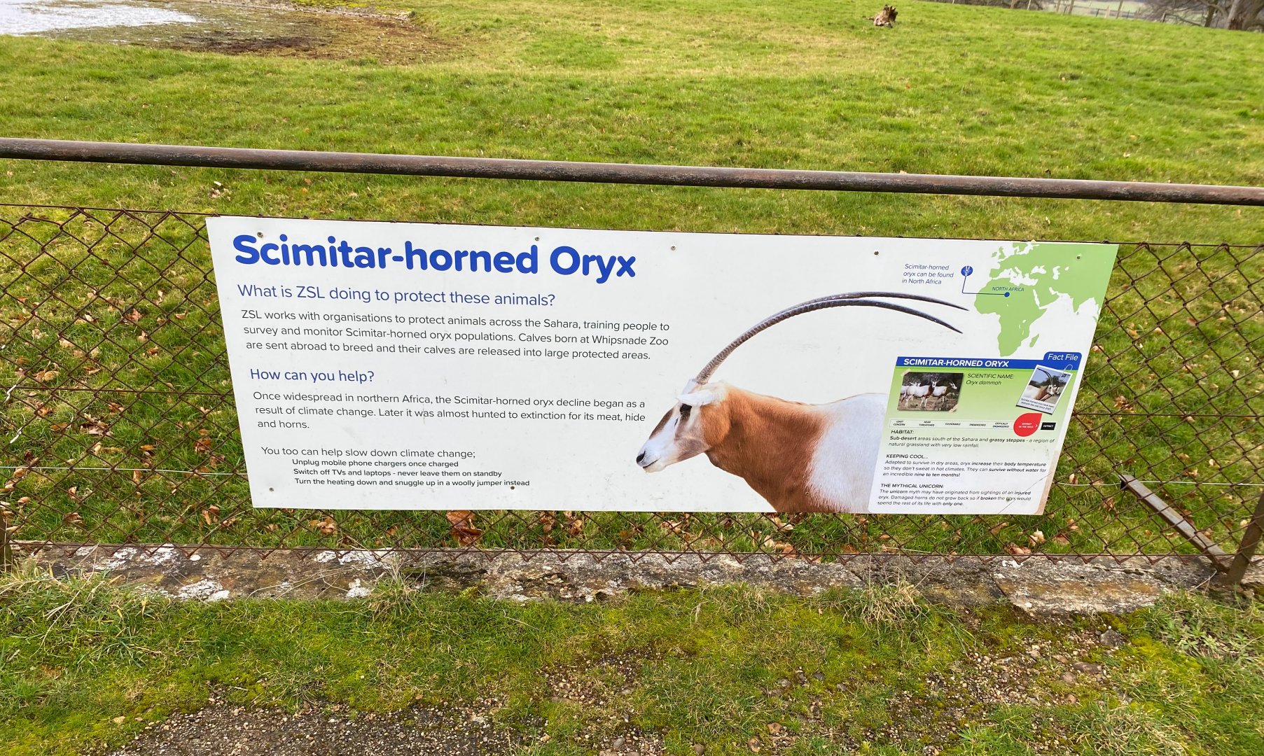 Updated Scimitar Horned Oryx Signage, ZSL Whipsnade
