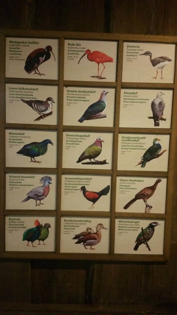 Updated Signage Bush