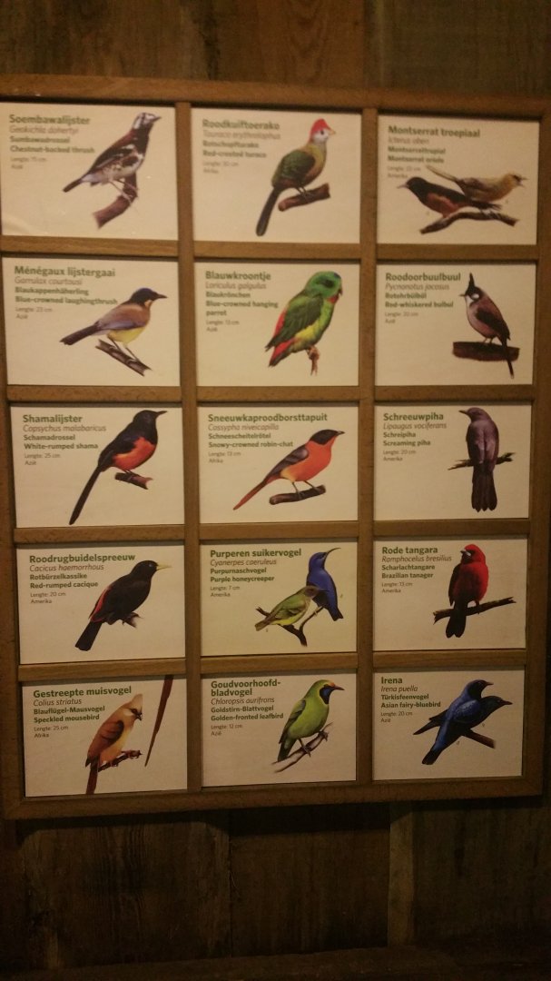 Updated Signage Bush