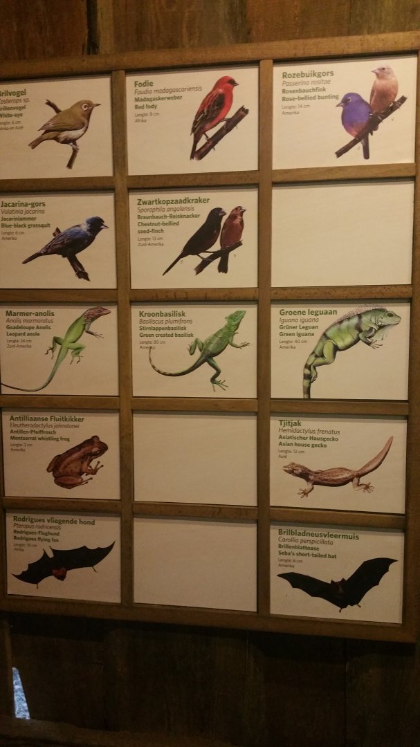 Updated Signage Bush