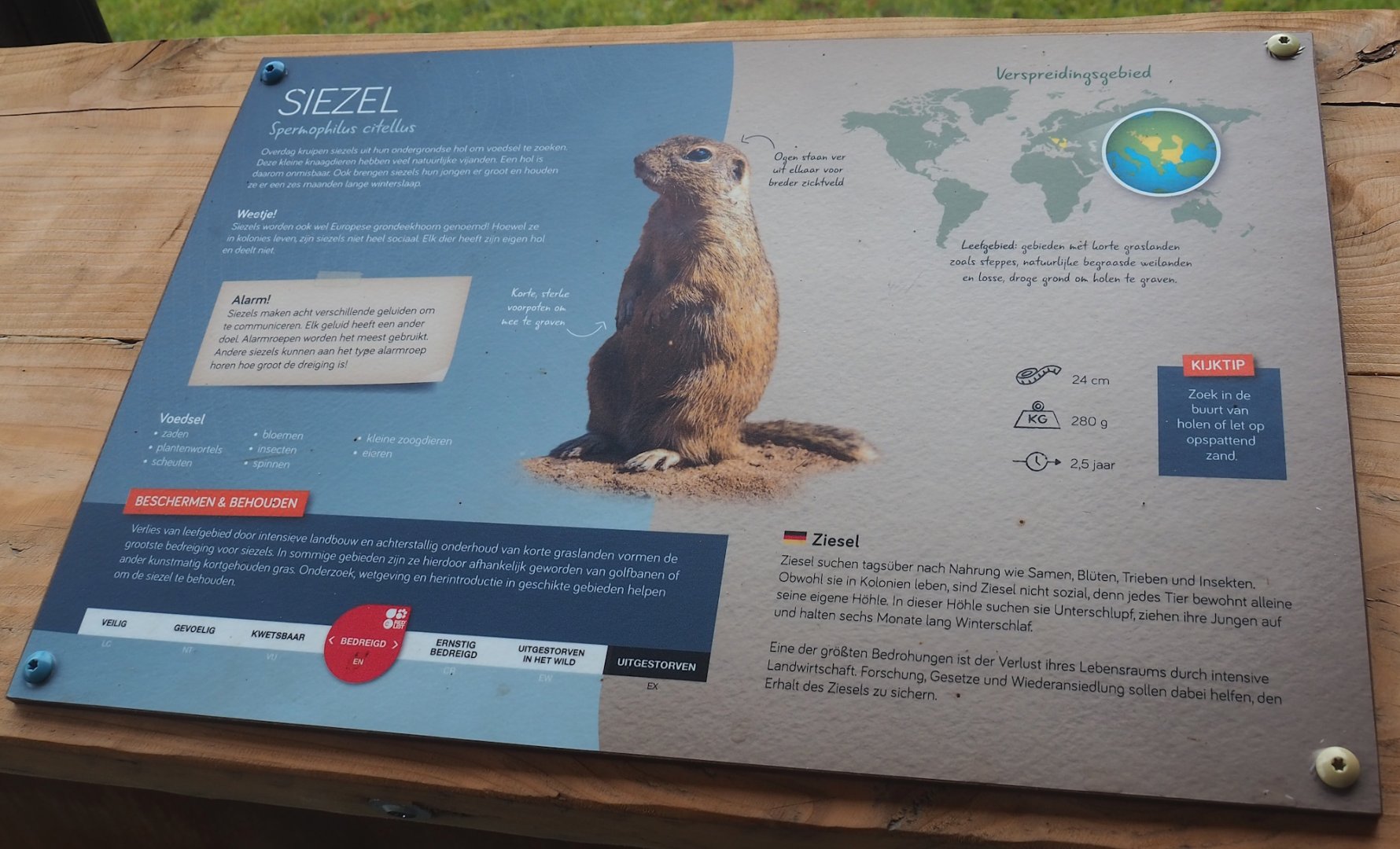 Updated signage example - European souslik, 2023-07-18