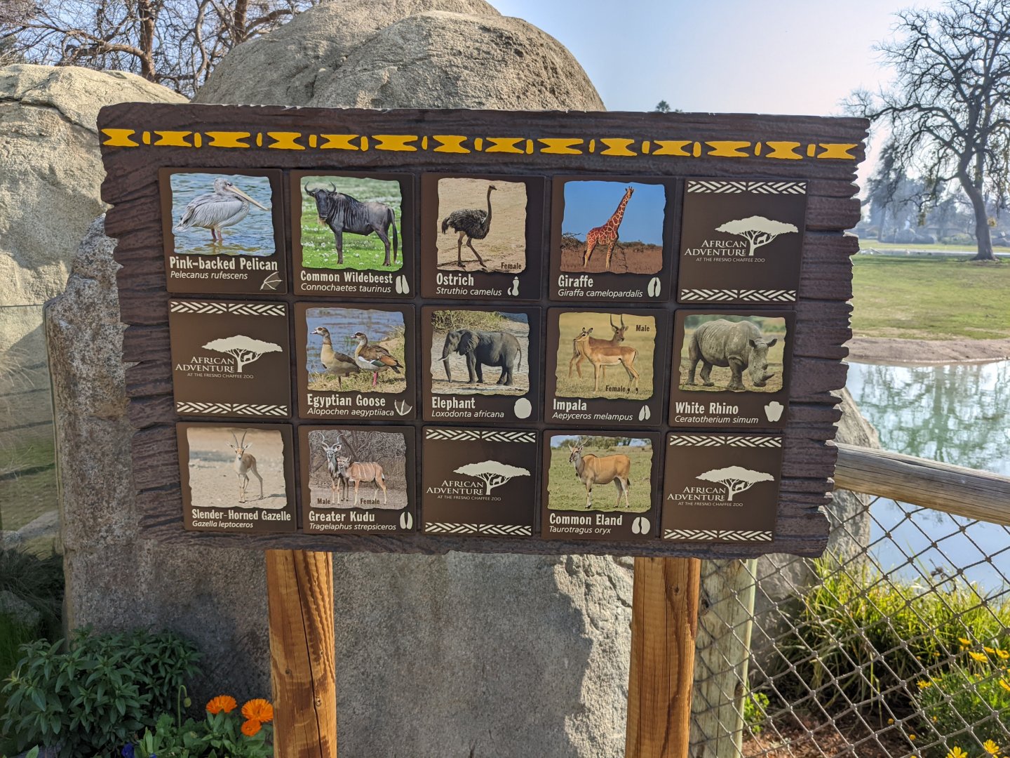 Updated Signage for African Adventure