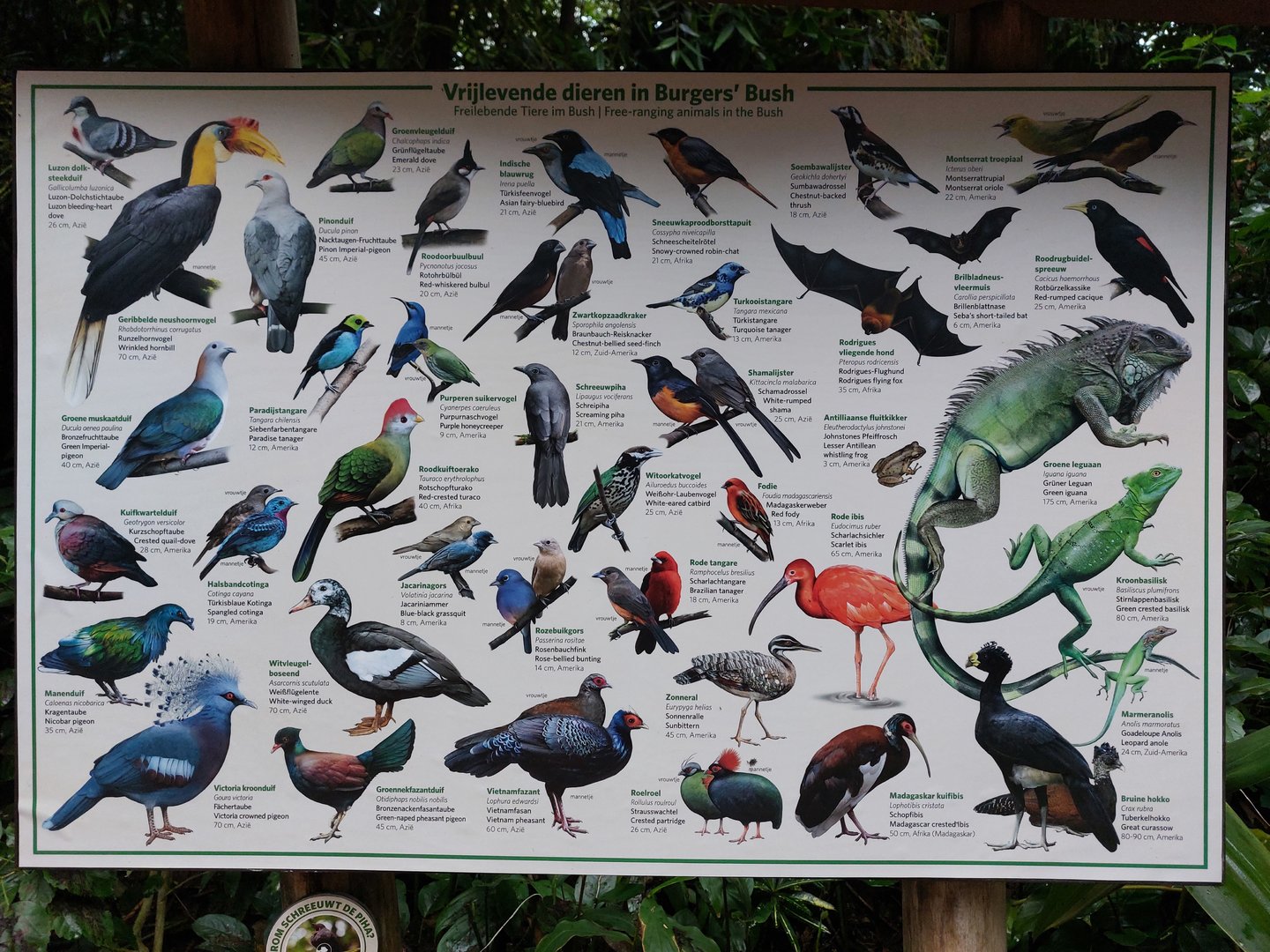 Updated signage free-ranging species in Bush
