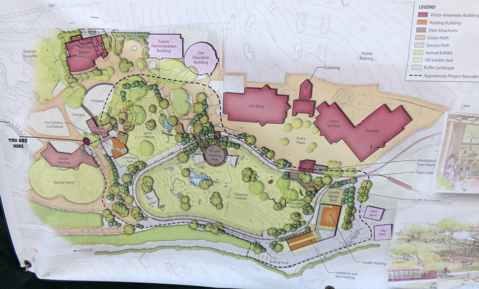Updated Site Plan for African Savanna