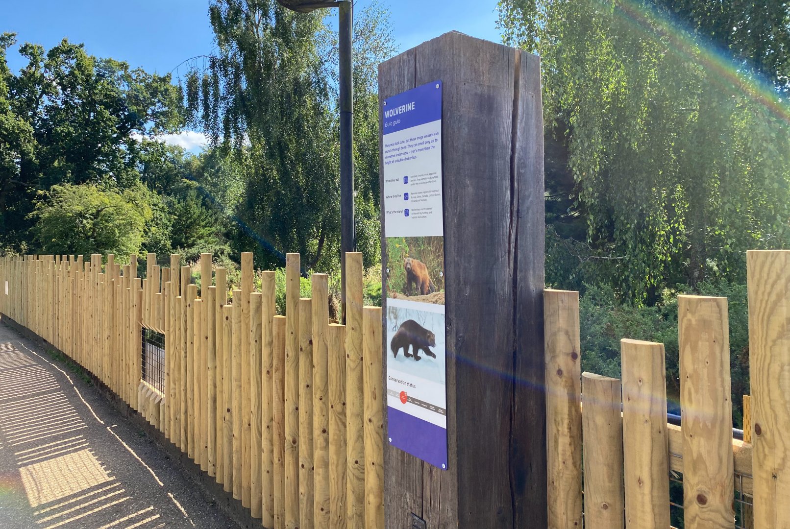 Updated wolverine enclosure fencing and signage, ZSL Whipsnade, UK
