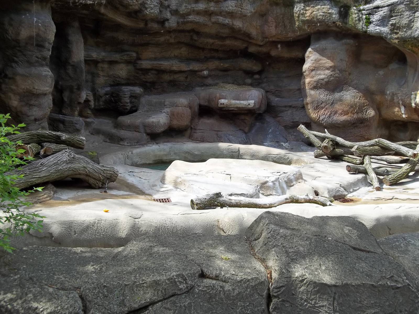 Updates to the Spectacled Bear Grotto