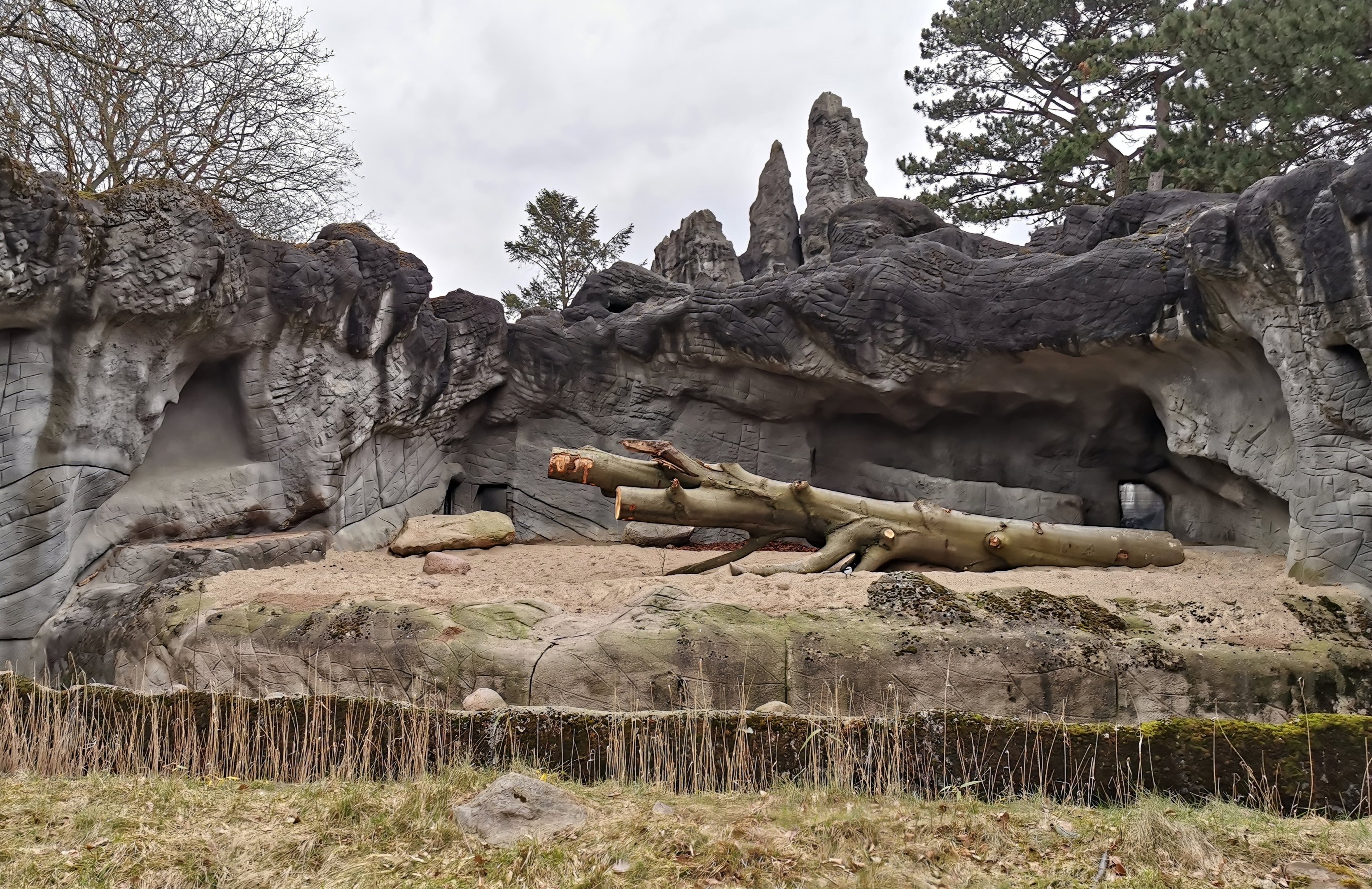 "Upgraded" lion enclosure